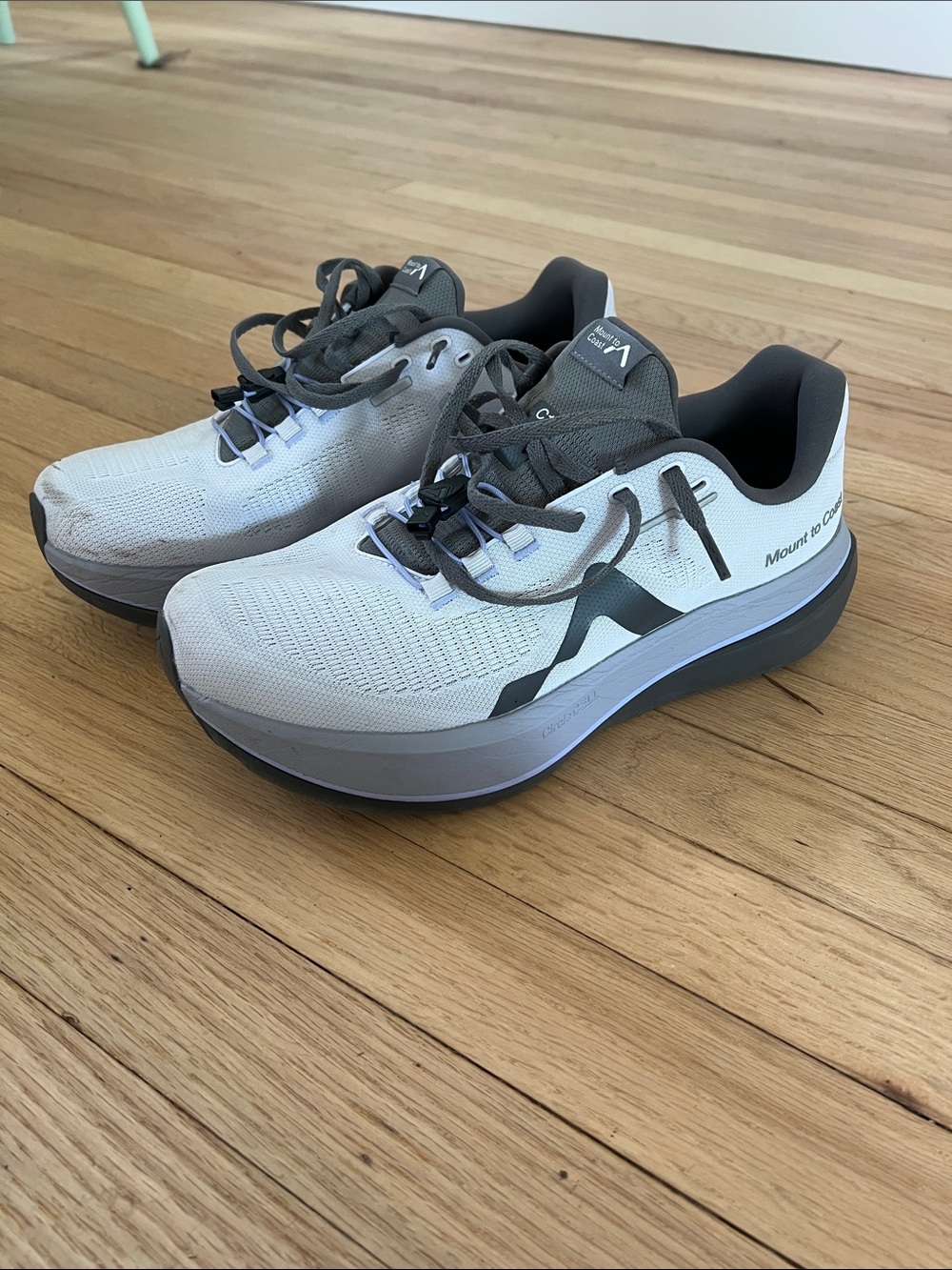 Mount to Coast C1 m10.5